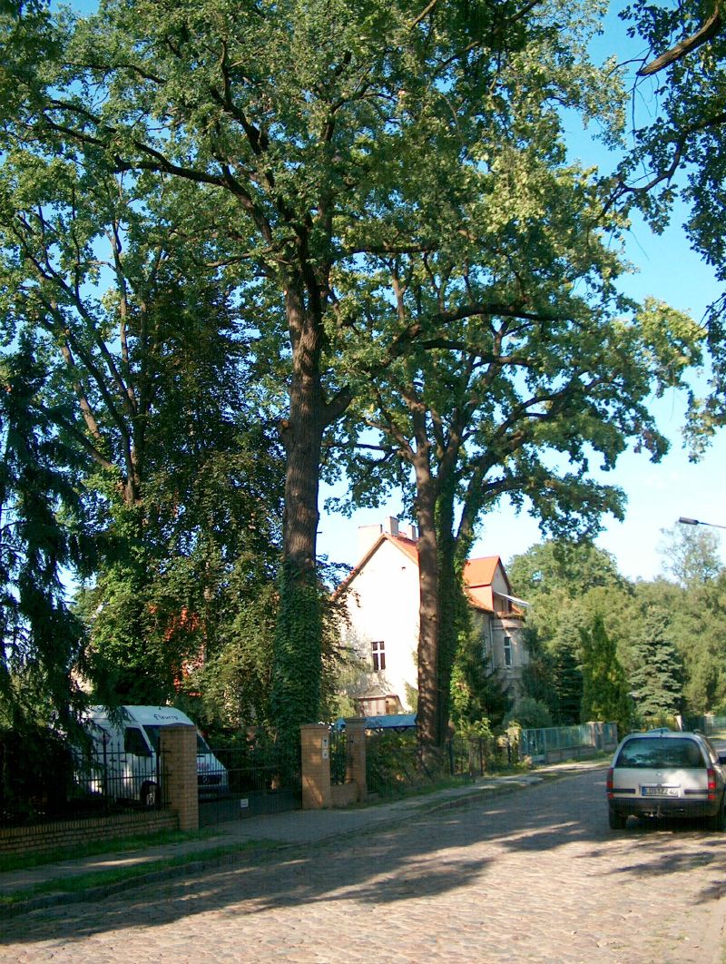 eichwalde_zillestrasse